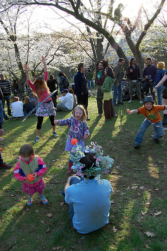 Cherry Blossom Party Cherry Blossom Party
