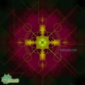 Soulacybin – Self-Existing Earth